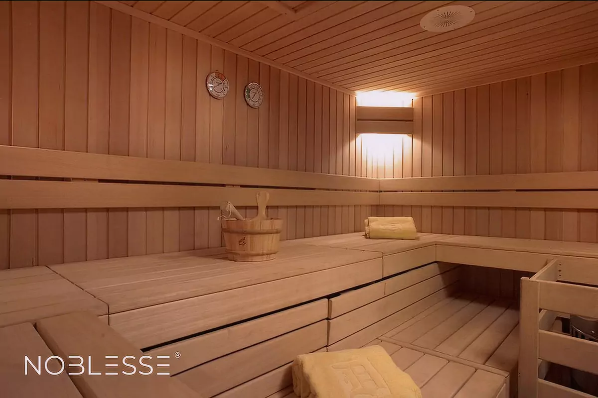 SS Delphine Sauna